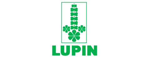 Lupin